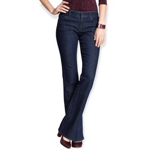 Ann Taylor LOFT jeans